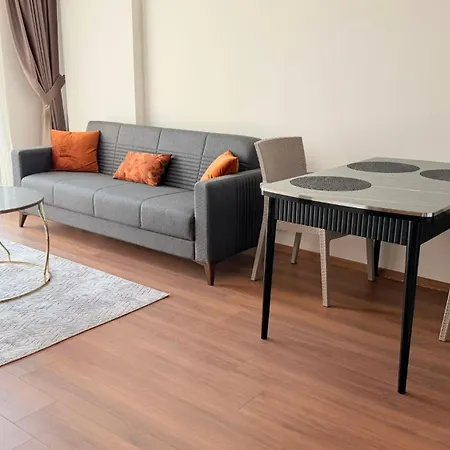 Sifir Muhtesem Havuzlu Aileye Oezel 1e1 Rezidans 公寓式酒店 阿拉尼亚